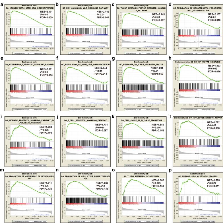 https://cdn.ncbi.nlm.nih.gov/pmc/blobs/dc20/8120815/b4a57e836ef6/12920_2021_975_Fig8_HTML.jpg