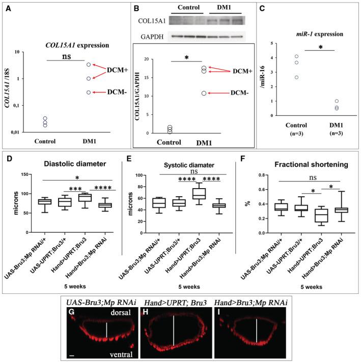 https://cdn.ncbi.nlm.nih.gov/pmc/blobs/dc21/10074075/2f9cbfa8db50/EMBR-24-e56616-g001.jpg
