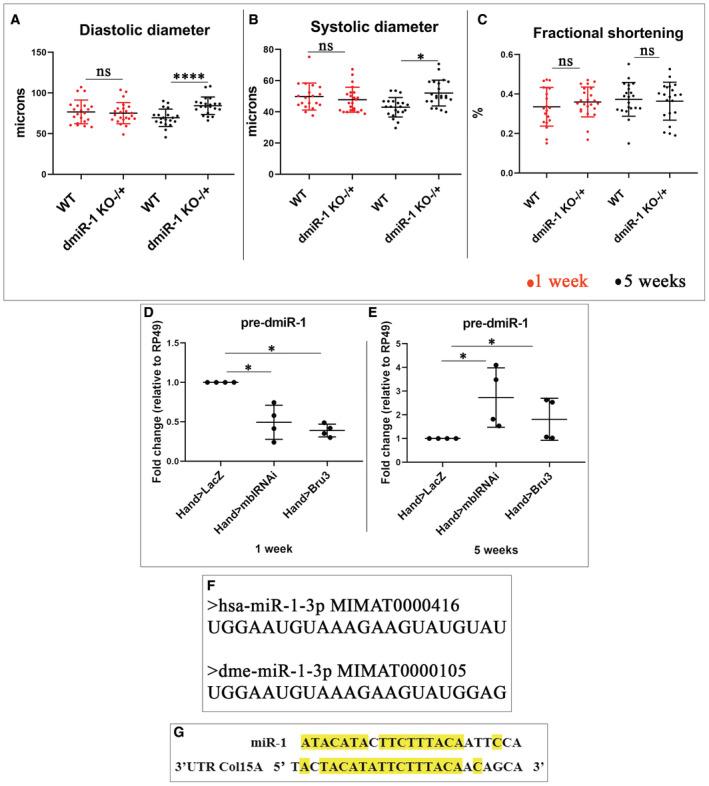https://cdn.ncbi.nlm.nih.gov/pmc/blobs/dc21/10074075/c2a17a4e520a/EMBR-24-e56616-g005.jpg