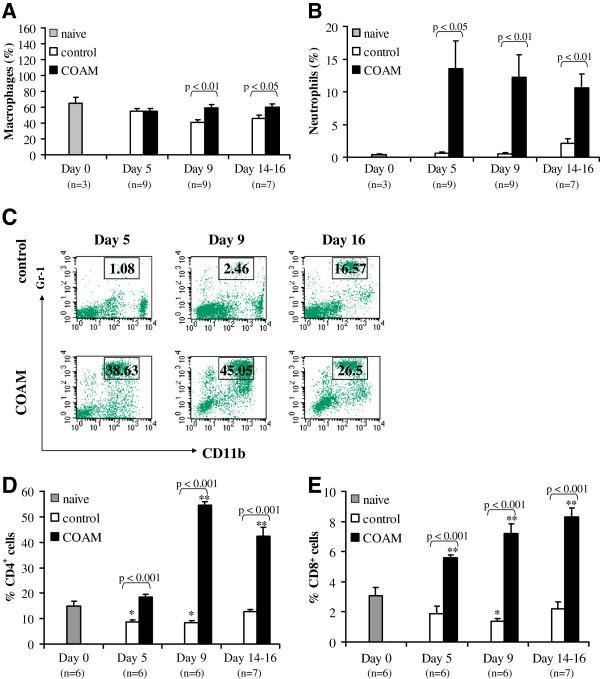 https://cdn.ncbi.nlm.nih.gov/pmc/blobs/dc21/3526473/21febe9abd3c/1742-2094-9-243-8.jpg