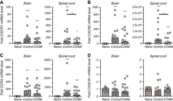 https://cdn.ncbi.nlm.nih.gov/pmc/blobs/dc21/3526473/44b217da192a/1742-2094-9-243-6.jpg