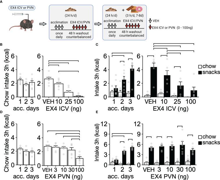 https://cdn.ncbi.nlm.nih.gov/pmc/blobs/dc22/10244886/72fd05429f9a/fendo-14-1164047-g002.jpg
