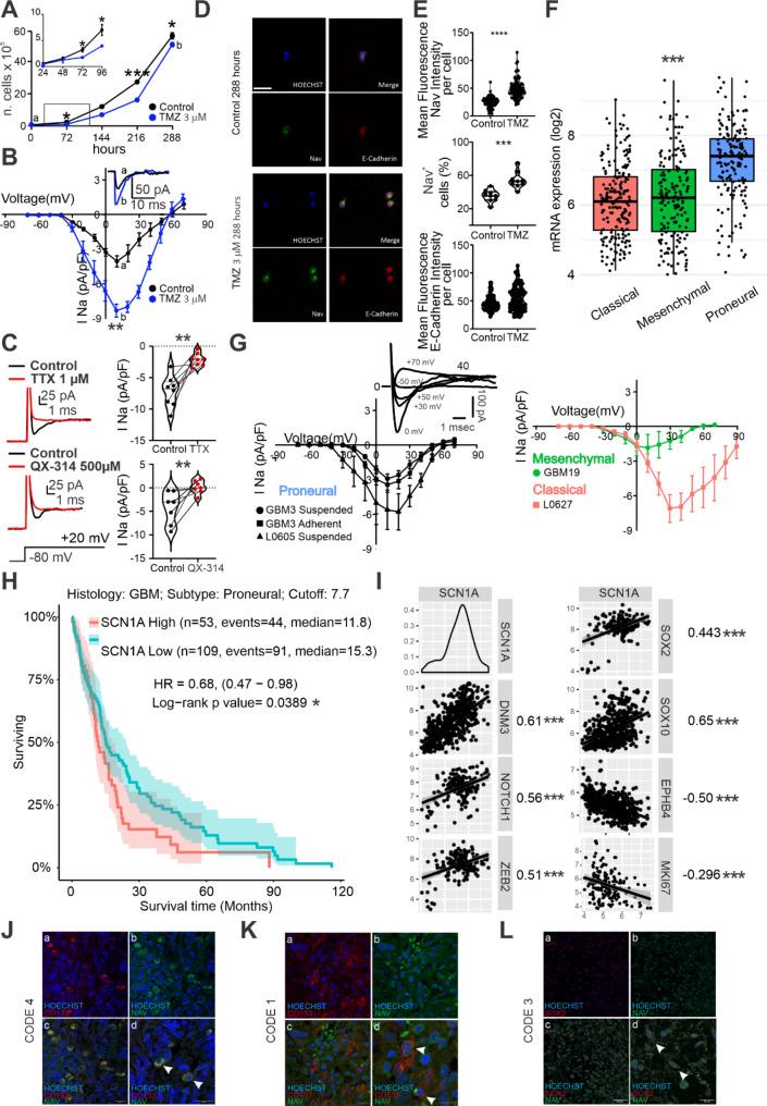 https://cdn.ncbi.nlm.nih.gov/pmc/blobs/dc22/11382371/538a8cb9630b/12964_2024_1819_Fig1_HTML.jpg