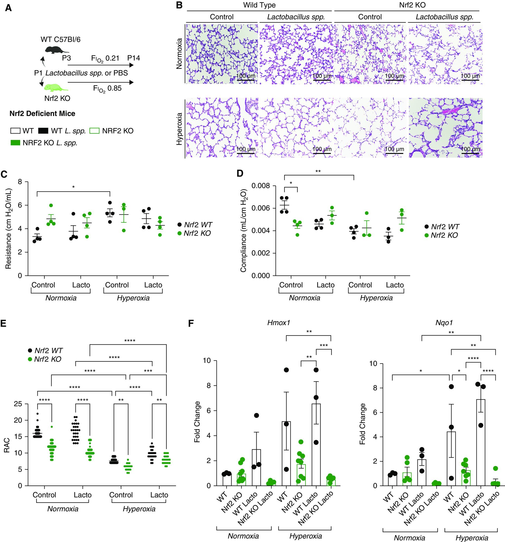 https://cdn.ncbi.nlm.nih.gov/pmc/blobs/dc22/9989473/7a5e6547f681/rcmb.2021-0508OCf4.jpg