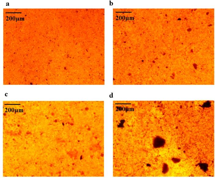 https://cdn.ncbi.nlm.nih.gov/pmc/blobs/dc23/10222667/575da6398fa2/marinedrugs-21-00274-g005.jpg