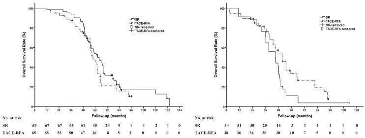 https://cdn.ncbi.nlm.nih.gov/pmc/blobs/dc23/5687165/49d2d664aadd/jcav08p3506g003.jpg