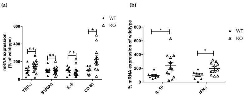 https://cdn.ncbi.nlm.nih.gov/pmc/blobs/dc24/8624031/0281c1c4b4b7/cells-10-03167-g003.jpg