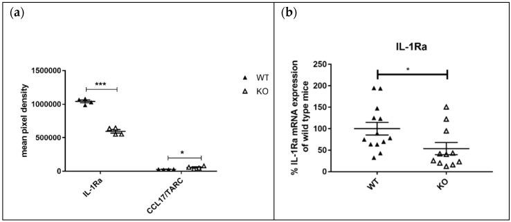 https://cdn.ncbi.nlm.nih.gov/pmc/blobs/dc24/8624031/2acc95f7abff/cells-10-03167-g006.jpg