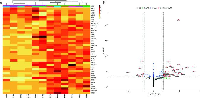 https://cdn.ncbi.nlm.nih.gov/pmc/blobs/dc26/7928352/f67844f6b259/fonc-10-593760-g001.jpg