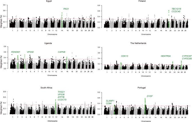 https://cdn.ncbi.nlm.nih.gov/pmc/blobs/dc28/12211335/1d5772bbf9bf/12864_2025_11828_Fig4_HTML.jpg