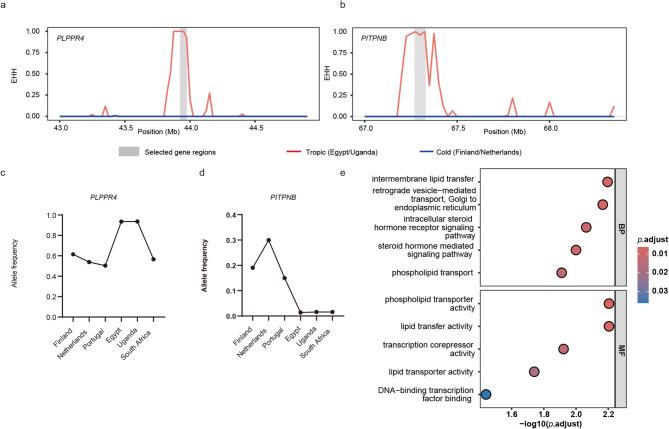 https://cdn.ncbi.nlm.nih.gov/pmc/blobs/dc28/12211335/a40ba69d7e65/12864_2025_11828_Fig6_HTML.jpg