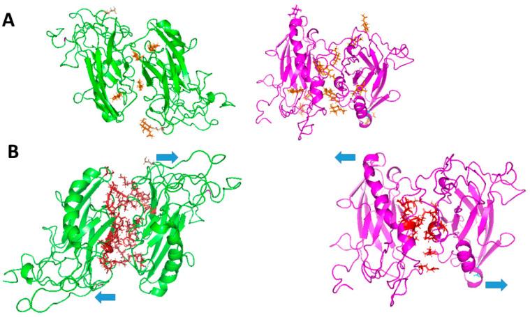 https://cdn.ncbi.nlm.nih.gov/pmc/blobs/dc28/12429690/7c7efa3b8389/ijms-26-08744-g004.jpg