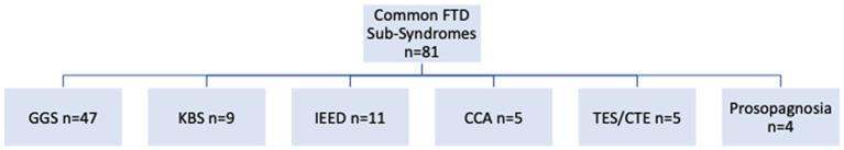 https://cdn.ncbi.nlm.nih.gov/pmc/blobs/dc2d/10803619/c056862c3720/fneur-14-1305071-g005.jpg