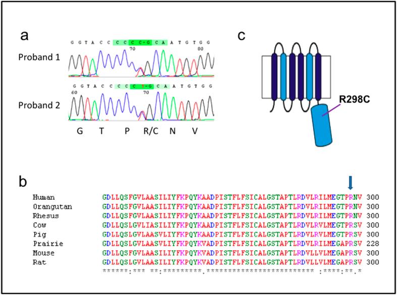 https://cdn.ncbi.nlm.nih.gov/pmc/blobs/dc2f/4673435/304c75933548/srep17816-f1.jpg