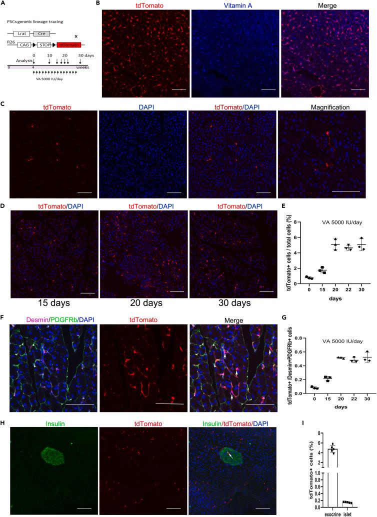 https://cdn.ncbi.nlm.nih.gov/pmc/blobs/dc30/10291507/187a76175f46/gr1.jpg