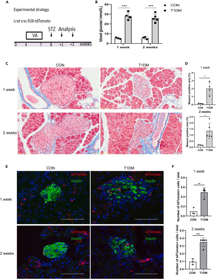 https://cdn.ncbi.nlm.nih.gov/pmc/blobs/dc30/10291507/59d3878169a6/gr3.jpg