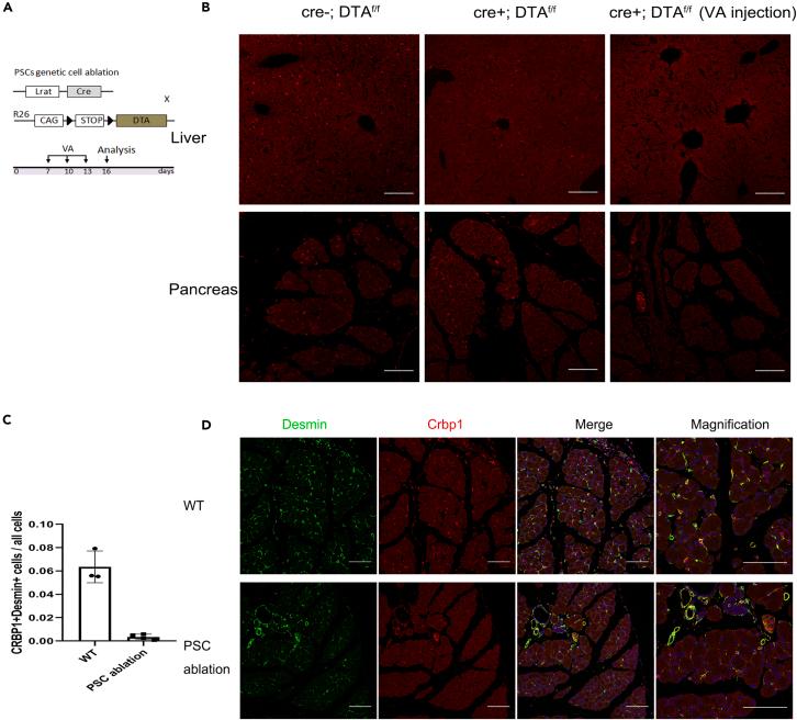 https://cdn.ncbi.nlm.nih.gov/pmc/blobs/dc30/10291507/c4f12826abad/gr6.jpg