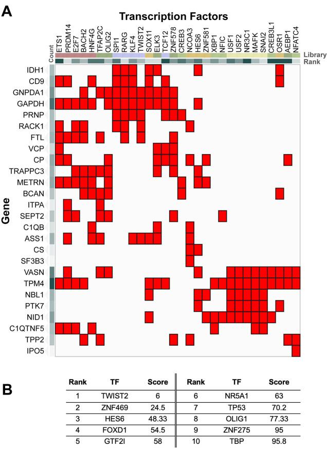 https://cdn.ncbi.nlm.nih.gov/pmc/blobs/dc32/12309891/6d68373ab325/biolipen-14-062057-g6.jpg