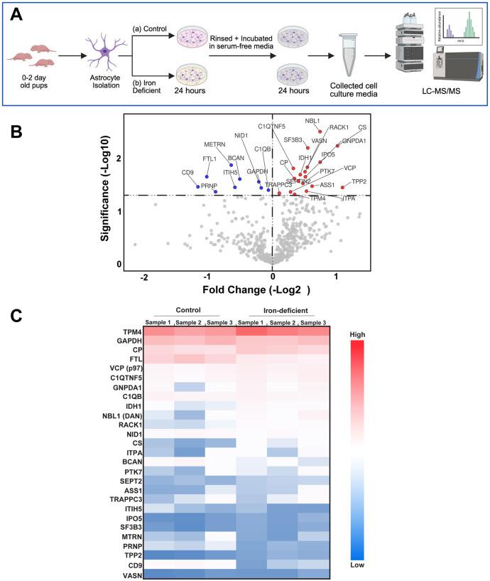 https://cdn.ncbi.nlm.nih.gov/pmc/blobs/dc32/12309891/d4e928c9b019/biolipen-14-062057-g1.jpg