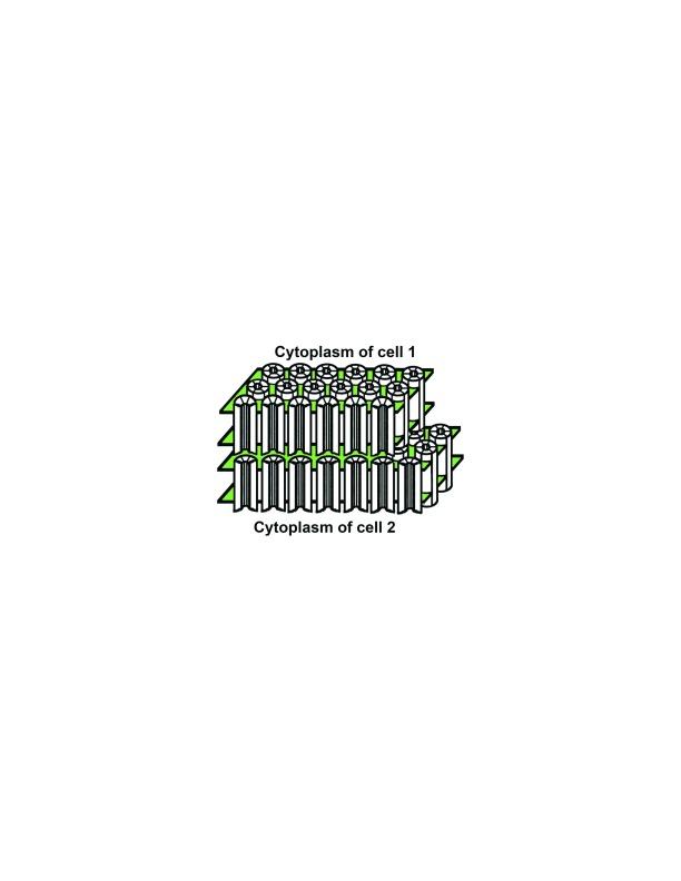 https://cdn.ncbi.nlm.nih.gov/pmc/blobs/dc33/5414816/a8755a14a48c/f1000research-6-11305-g0000.jpg