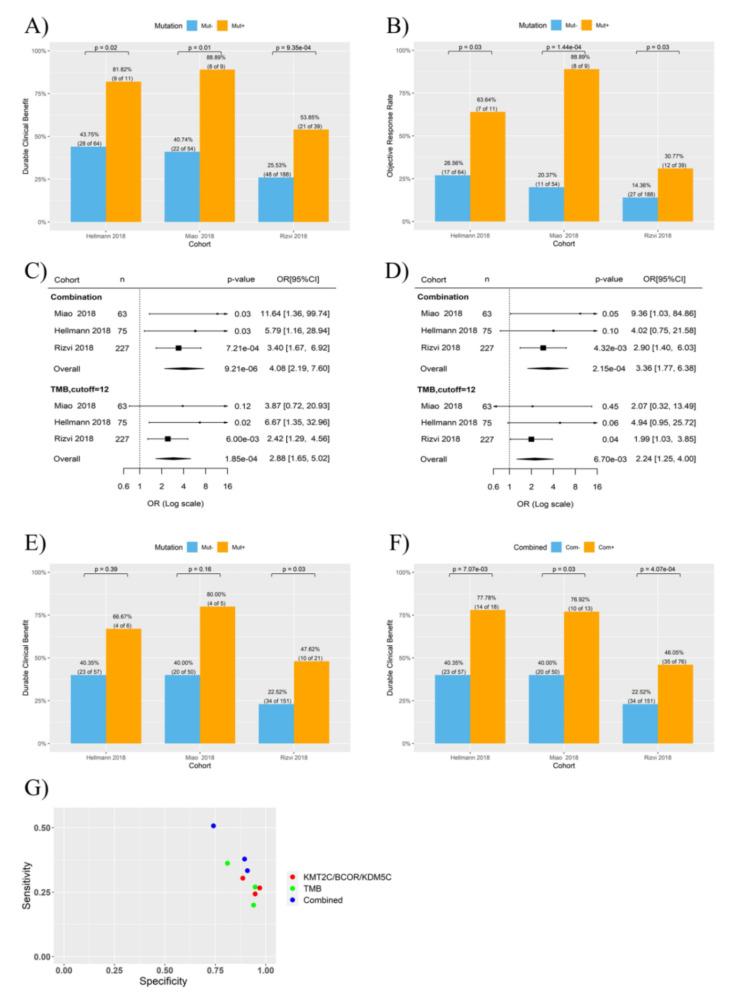 https://cdn.ncbi.nlm.nih.gov/pmc/blobs/dc33/9179442/370dae228eac/cancers-14-02816-g002.jpg