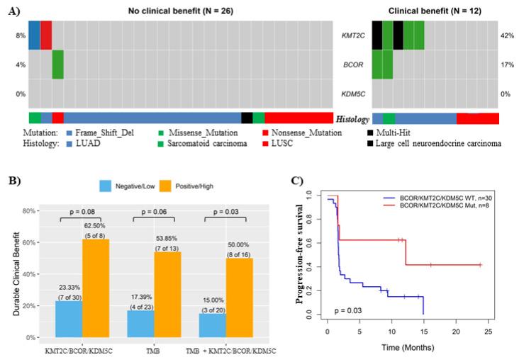 https://cdn.ncbi.nlm.nih.gov/pmc/blobs/dc33/9179442/832519cf9c5c/cancers-14-02816-g004.jpg