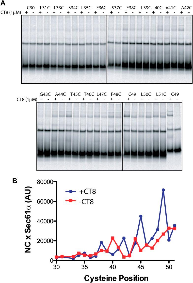 https://cdn.ncbi.nlm.nih.gov/pmc/blobs/dc34/3913039/41eba5d8e0a2/elife-01483-fig5-figsupp1.jpg