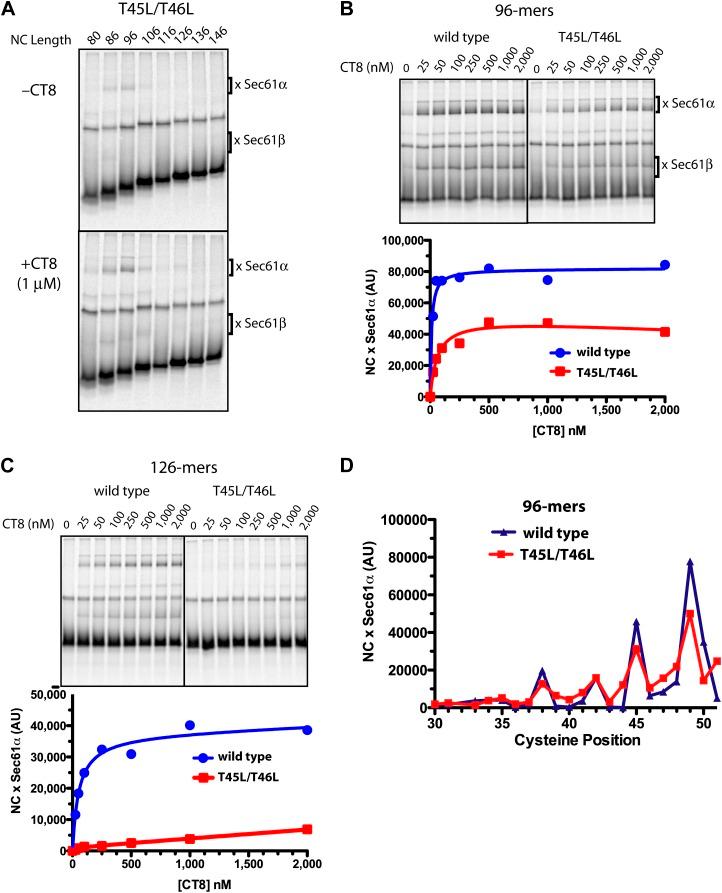 https://cdn.ncbi.nlm.nih.gov/pmc/blobs/dc34/3913039/5c6f400405ff/elife-01483-fig5.jpg