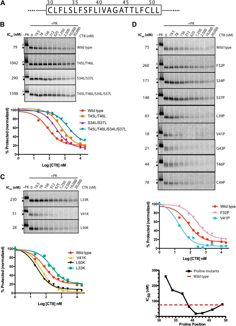 https://cdn.ncbi.nlm.nih.gov/pmc/blobs/dc34/3913039/ea3745b347dd/elife-01483-fig6.jpg