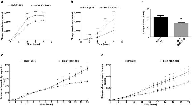 https://cdn.ncbi.nlm.nih.gov/pmc/blobs/dc35/5532239/ba5df4354325/41598_2017_6886_Fig4_HTML.jpg