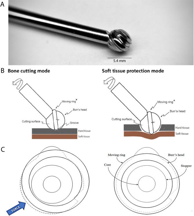 https://cdn.ncbi.nlm.nih.gov/pmc/blobs/dc36/12081626/1bb1cc644260/41598_2025_1769_Fig1_HTML.jpg