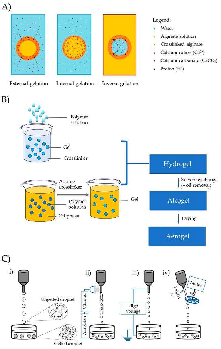 https://cdn.ncbi.nlm.nih.gov/pmc/blobs/dc37/10674668/da618478df52/pharmaceutics-15-02639-g009.jpg