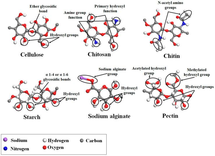 https://cdn.ncbi.nlm.nih.gov/pmc/blobs/dc37/10674668/e0685f7c934e/pharmaceutics-15-02639-g008.jpg