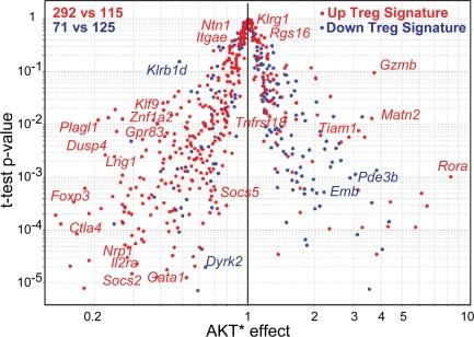 https://cdn.ncbi.nlm.nih.gov/pmc/blobs/dc3b/2275380/0ea2595d7960/jem2050565f04.jpg
