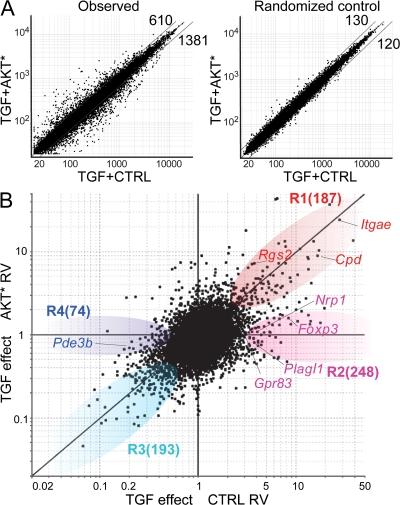 https://cdn.ncbi.nlm.nih.gov/pmc/blobs/dc3b/2275380/a6c16d4b9738/jem2050565f03.jpg