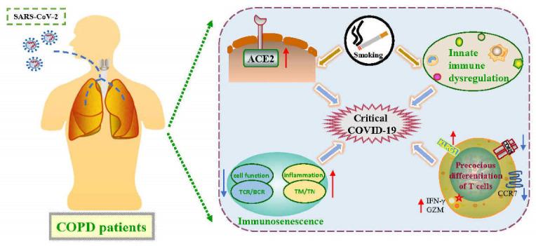 https://cdn.ncbi.nlm.nih.gov/pmc/blobs/dc3b/9788471/06edb3ad1a57/pathogens-11-01484-g001.jpg