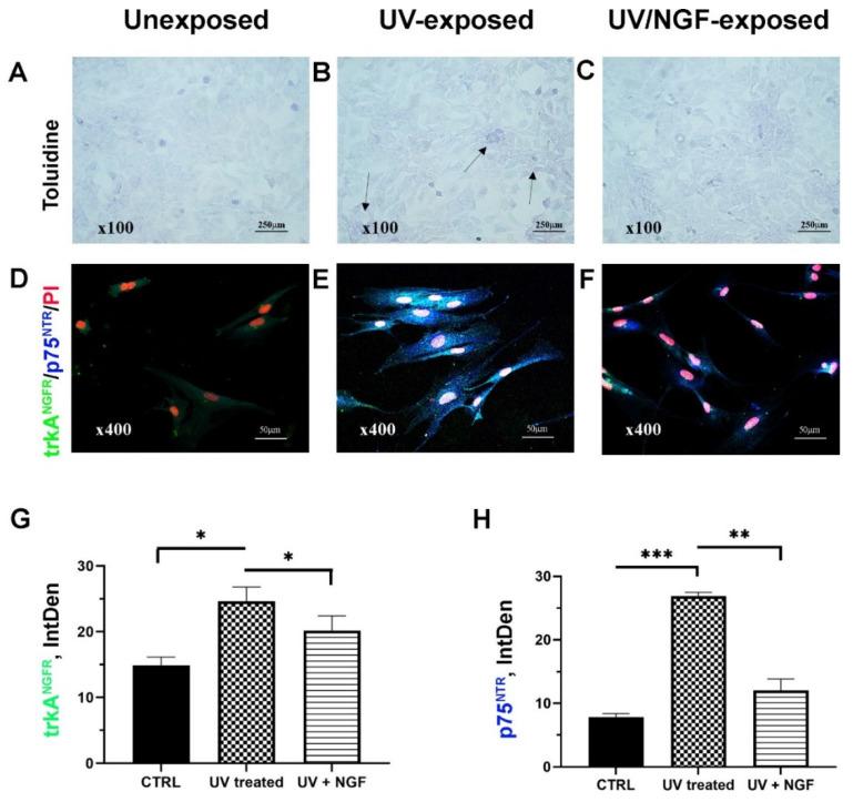 https://cdn.ncbi.nlm.nih.gov/pmc/blobs/dc3d/9181148/43b44ce79b0b/ijms-23-06337-g001.jpg