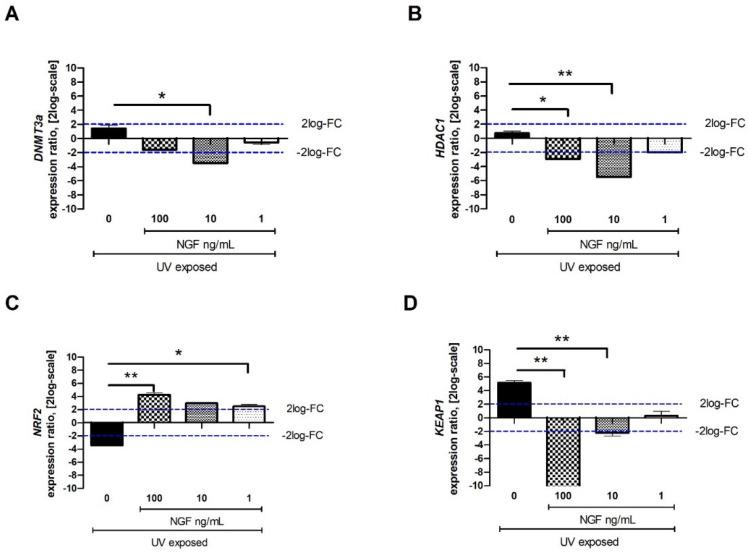 https://cdn.ncbi.nlm.nih.gov/pmc/blobs/dc3d/9181148/f2074ce537d9/ijms-23-06337-g004.jpg