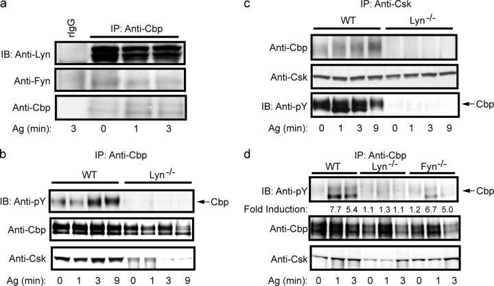 https://cdn.ncbi.nlm.nih.gov/pmc/blobs/dc3f/2211776/a557b341f368/20040382f2.jpg