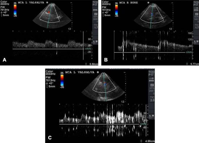 https://cdn.ncbi.nlm.nih.gov/pmc/blobs/dc3f/7909731/d296d3625e22/11239_2021_2398_Fig1_HTML.jpg