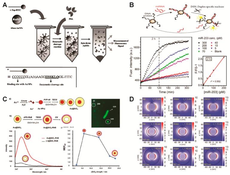 https://cdn.ncbi.nlm.nih.gov/pmc/blobs/dc41/6073481/0eb260ed1bf4/ijms-19-02021-g003.jpg