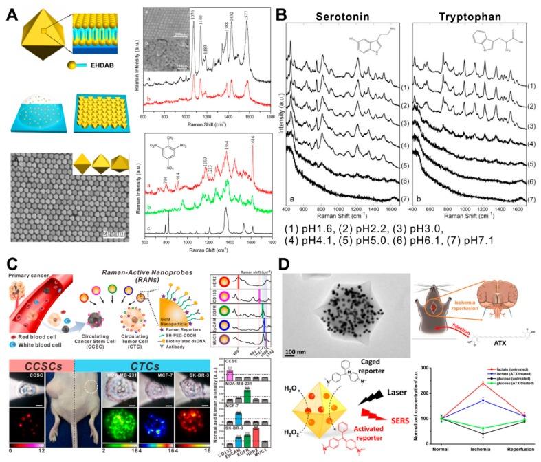 https://cdn.ncbi.nlm.nih.gov/pmc/blobs/dc41/6073481/670091be7240/ijms-19-02021-g002.jpg