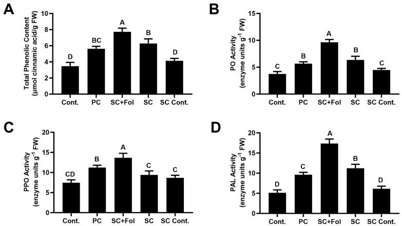 https://cdn.ncbi.nlm.nih.gov/pmc/blobs/dc43/11052163/aebcc21fe305/microorganisms-12-00792-g005.jpg