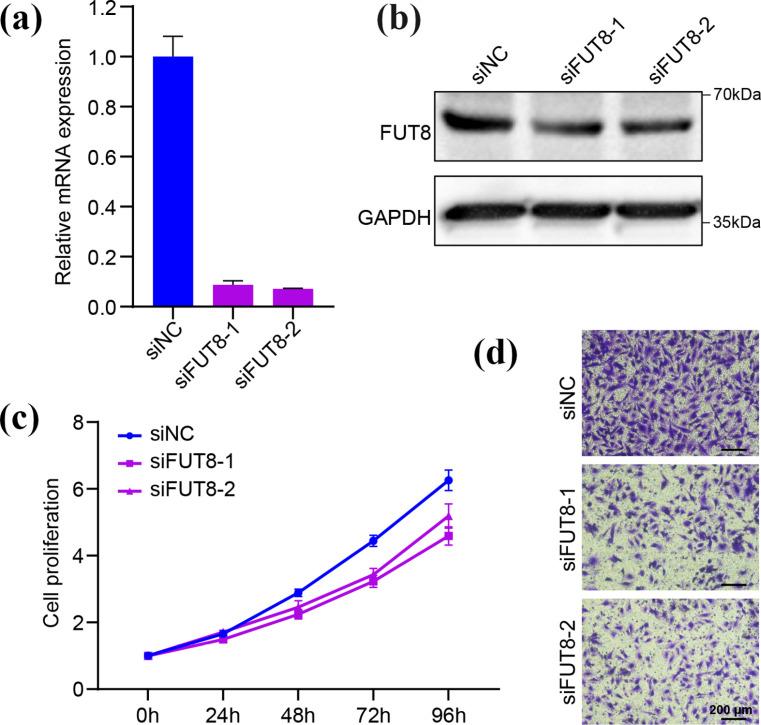 https://cdn.ncbi.nlm.nih.gov/pmc/blobs/dc43/12080848/d9638a8a00b5/pone.0321756.g010.jpg