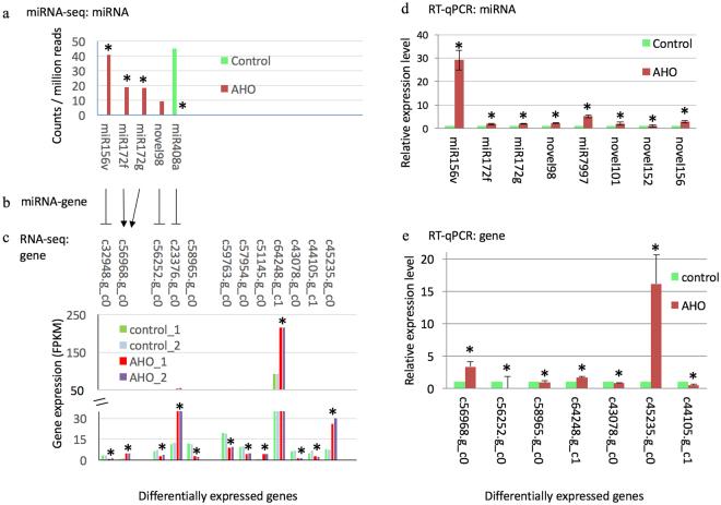 https://cdn.ncbi.nlm.nih.gov/pmc/blobs/dc43/5624873/912e70912c4d/41598_2017_12249_Fig5_HTML.jpg