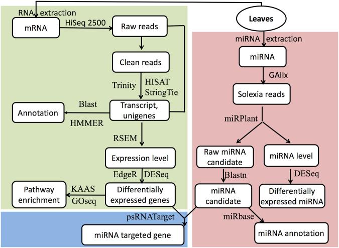 https://cdn.ncbi.nlm.nih.gov/pmc/blobs/dc43/5624873/c34a78c5ffcd/41598_2017_12249_Fig6_HTML.jpg