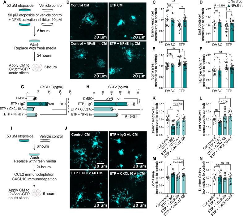 https://cdn.ncbi.nlm.nih.gov/pmc/blobs/dc45/9519048/4520f6589ef7/sciadv.abo4662-f5.jpg