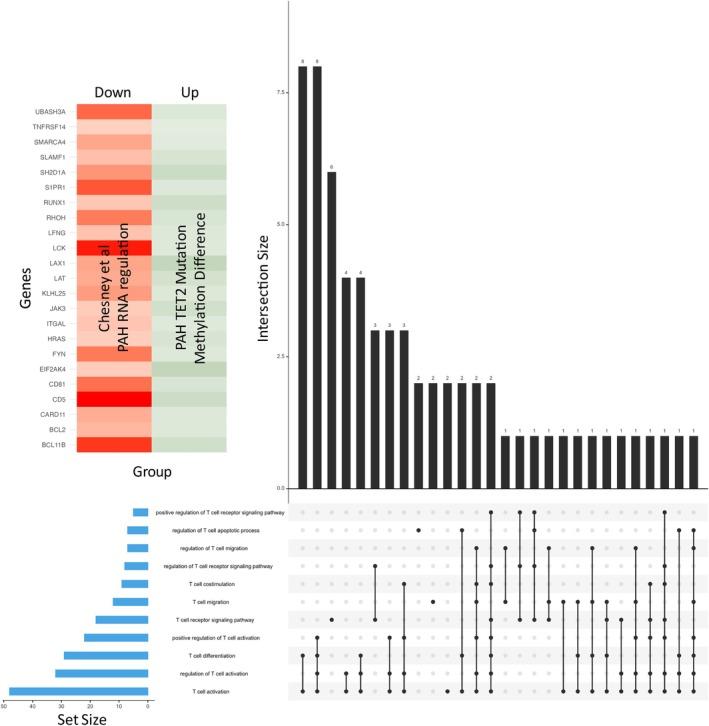 https://cdn.ncbi.nlm.nih.gov/pmc/blobs/dc46/12021535/2789c5ca8836/CPH4-15-e70011-g008.jpg