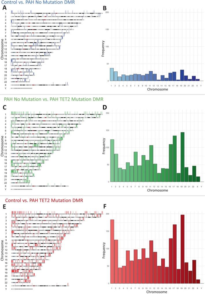 https://cdn.ncbi.nlm.nih.gov/pmc/blobs/dc46/12021535/48a3ef5d2712/CPH4-15-e70011-g001.jpg