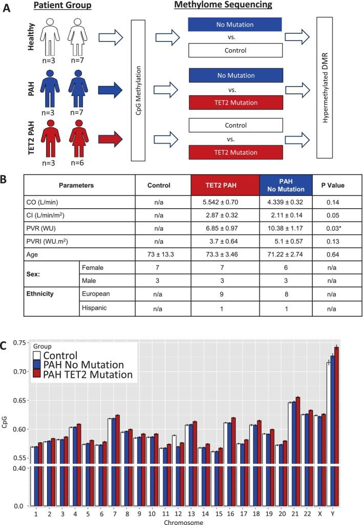 https://cdn.ncbi.nlm.nih.gov/pmc/blobs/dc46/12021535/4e587cfec1f2/CPH4-15-e70011-g006.jpg